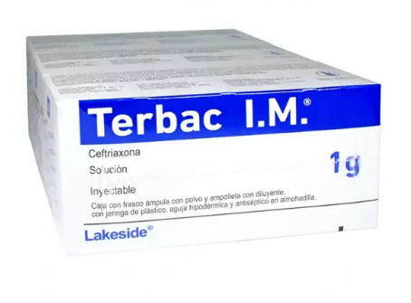 TERBAC IM 1 G SOL INY FA TRIPACK