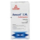 AMCEF IM 1G IM 3 5ML